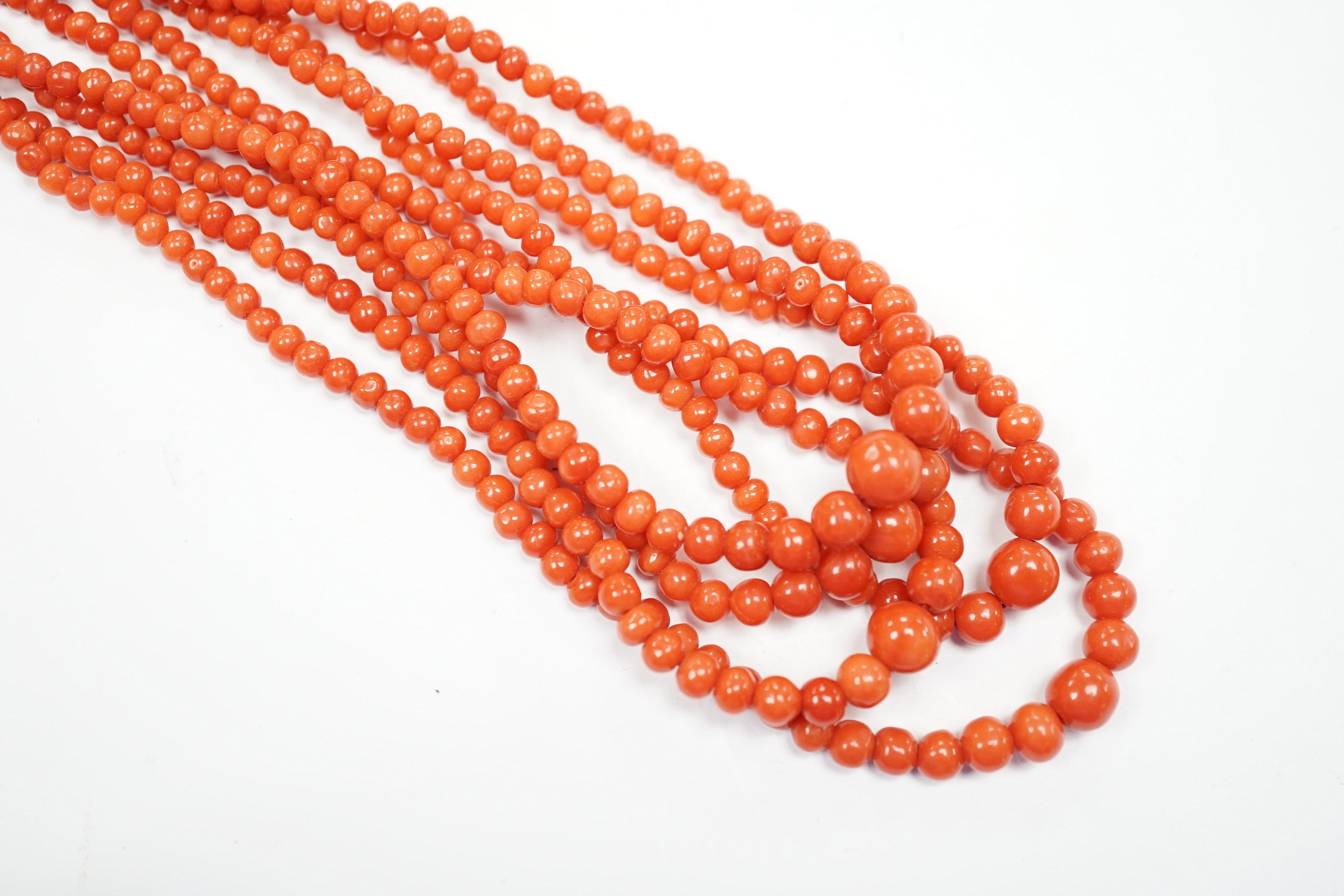 A five strand coral bead choker necklace, with coral set yellow metal clasp, approx. 44cm.
